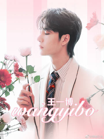 揭秘白小王中王一肖中特的神秘面紗——探尋背后的SEO奧秘，揭秘白小王中王一肖背后的SEO奧秘，探尋神秘面紗下的秘密