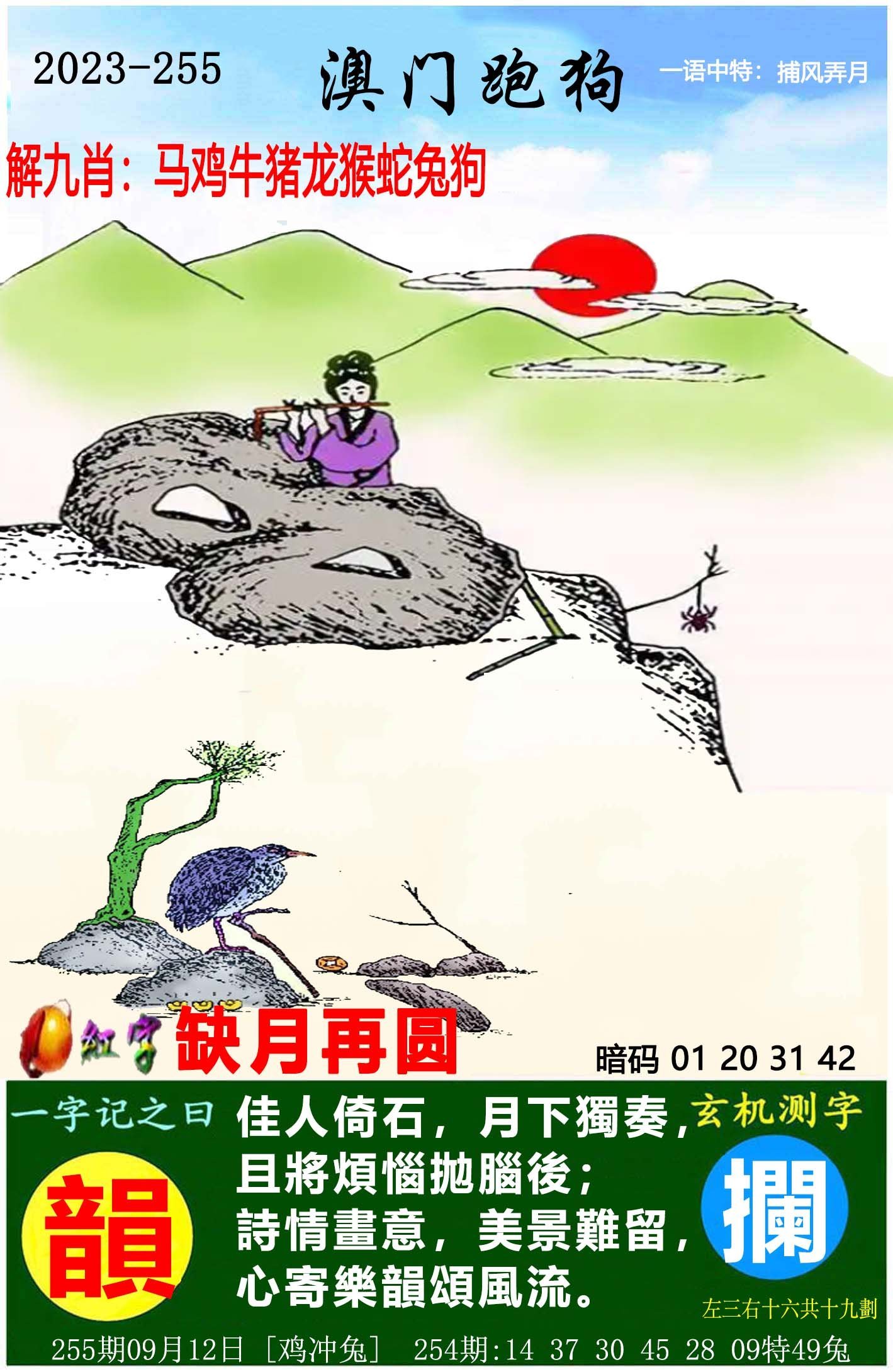 澳門六開獎結(jié)果特馬師——探索與解析，澳門六開獎結(jié)果特馬師解析與探索