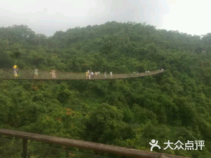 亞龍灣熱帶天堂森林公園景點(diǎn)介紹——探秘?zé)釒ЬG意盎然的自然奇觀，亞龍灣熱帶天堂森林公園探秘，熱帶綠意盎然的自然奇觀景點(diǎn)介紹