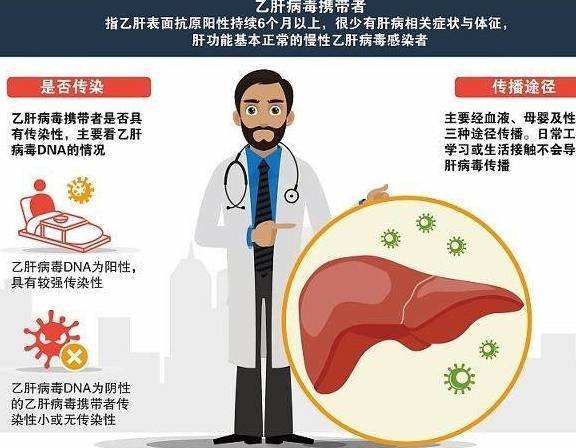 乙肝病毒攜帶者可怕嗎，深入了解與正確應(yīng)對(duì)，乙肝病毒攜帶者的真相，深入了解與正確應(yīng)對(duì)之道