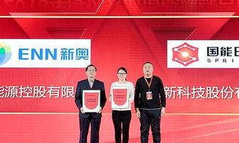 新奧今晚開(kāi)一肖一特講解詞語(yǔ)，探索生肖與特意的奧秘，新奧生肖夜，揭秘生肖與特意的神秘關(guān)聯(lián)