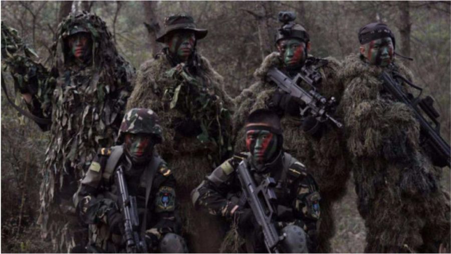 揭秘龍焱特種部隊(duì)曝光原因，榮耀與使命的雙重驅(qū)動，揭秘龍焱特種部隊(duì)曝光原因，榮耀與使命的雙重驅(qū)動下的力量展現(xiàn)