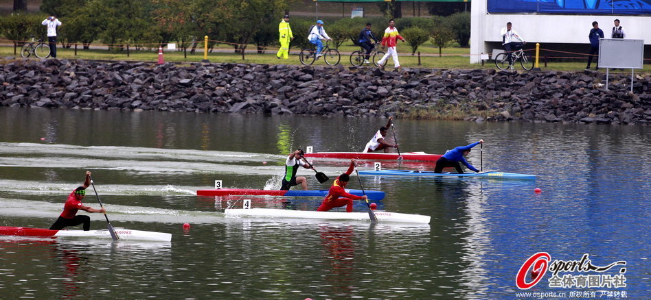 王中王一肖一馬期期中特，深度解析與SEO優(yōu)化策略，王中王一肖一馬期期中特深度解析與SEO優(yōu)化策略指南